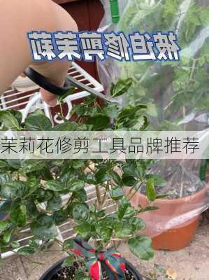 茉莉花修剪工具品牌推荐