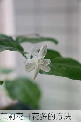 茉莉花开花多的方法