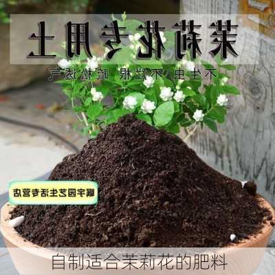 自制适合茉莉花的肥料