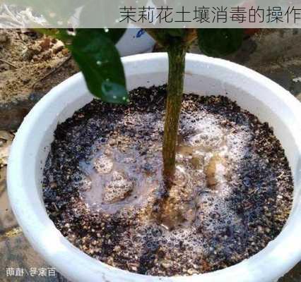 茉莉花土壤消毒的操作