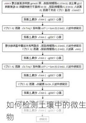 如何检测土壤中的微生物