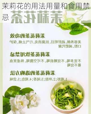 茉莉花的用法用量和食用禁忌