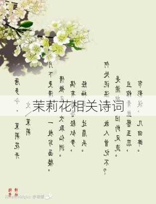 茉莉花相关诗词