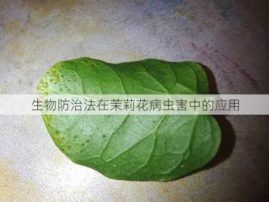 生物防治法在茉莉花病虫害中的应用