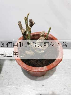 如何自制适合茉莉花的盆栽土壤