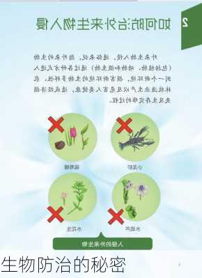 生物防治的秘密