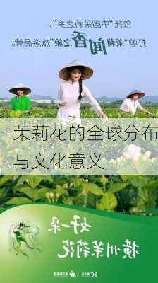 茉莉花的全球分布与文化意义