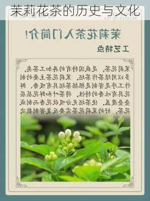 茉莉花茶的历史与文化