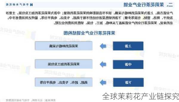 全球茉莉花产业链探究