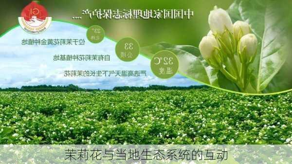 茉莉花与当地生态系统的互动