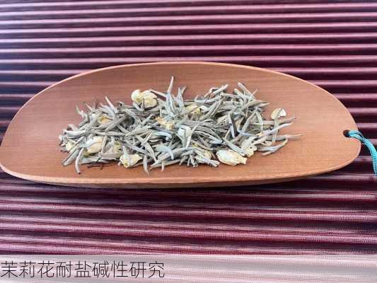 茉莉花耐盐碱性研究