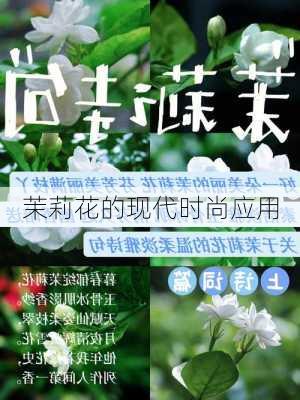 茉莉花的现代时尚应用