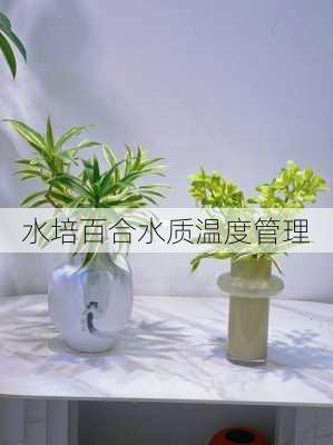 水培百合水质温度管理