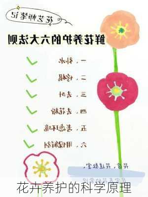 花卉养护的科学原理