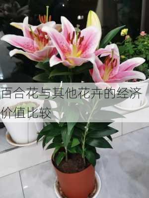 百合花与其他花卉的经济价值比较