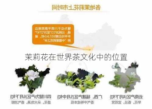 茉莉花在世界茶文化中的位置