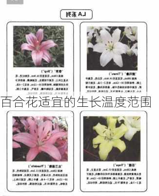 百合花适宜的生长温度范围