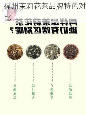 福州茉莉花茶品牌特色对比