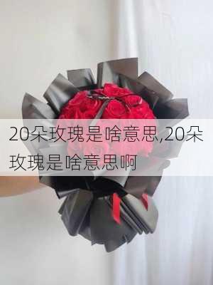 20朵玫瑰是啥意思,20朵玫瑰是啥意思啊