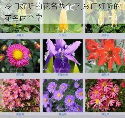 冷门好听的花名两个字,冷门好听的花名两个字