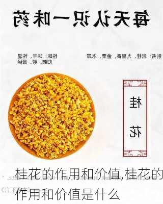 桂花的作用和价值,桂花的作用和价值是什么