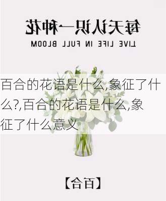 百合的花语是什么,象征了什么?,百合的花语是什么,象征了什么意义