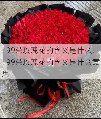 199朵玫瑰花的含义是什么,199朵玫瑰花的含义是什么意思