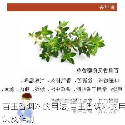 百里香调料的用法,百里香调料的用法及作用