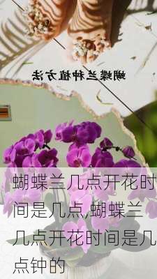 蝴蝶兰几点开花时间是几点,蝴蝶兰几点开花时间是几点钟的