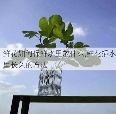 鲜花如何保鲜水里放什么,鲜花插水里长久的方法