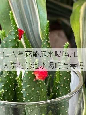 仙人掌花能泡水喝吗,仙人掌花能泡水喝吗有毒吗