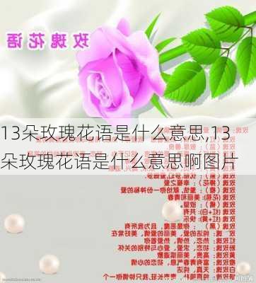 13朵玫瑰花语是什么意思,13朵玫瑰花语是什么意思啊图片