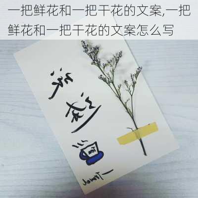 一把鲜花和一把干花的文案,一把鲜花和一把干花的文案怎么写