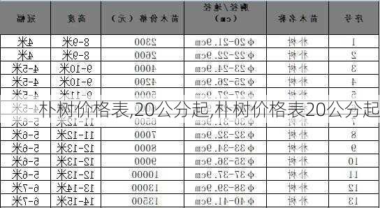 朴树价格表,20公分起,朴树价格表20公分起