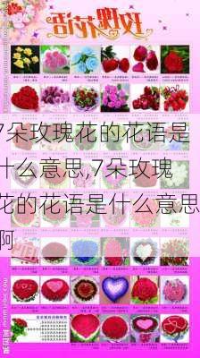 7朵玫瑰花的花语是什么意思,7朵玫瑰花的花语是什么意思啊