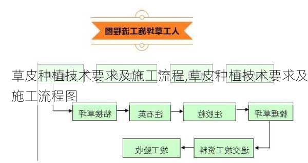 草皮种植技术要求及施工流程,草皮种植技术要求及施工流程图