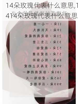 14朵玫瑰代表什么意思,1414朵玫瑰代表什么意思