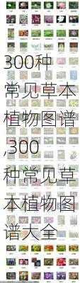 300种常见草本植物图谱,300种常见草本植物图谱大全