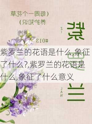 紫罗兰的花语是什么,象征了什么?,紫罗兰的花语是什么,象征了什么意义