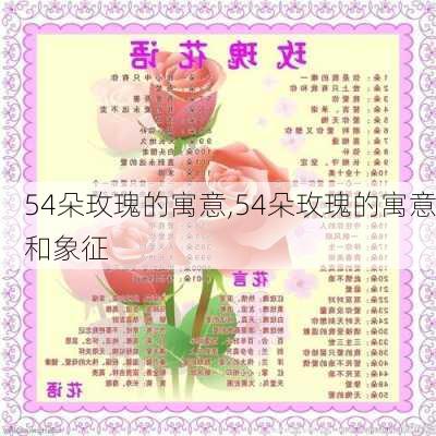 54朵玫瑰的寓意,54朵玫瑰的寓意和象征