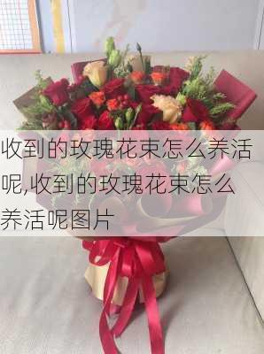 收到的玫瑰花束怎么养活呢,收到的玫瑰花束怎么养活呢图片