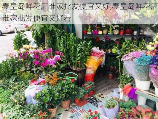 秦皇岛鲜花店谁家批发便宜又好,秦皇岛鲜花店谁家批发便宜又好看