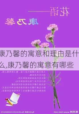 康乃馨的寓意和理由是什么,康乃馨的寓意有哪些