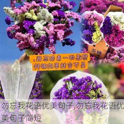 勿忘我花语优美句子,勿忘我花语优美句子简短