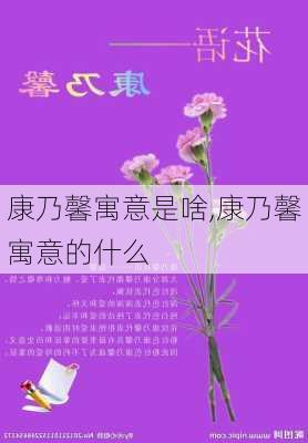 康乃馨寓意是啥,康乃馨寓意的什么