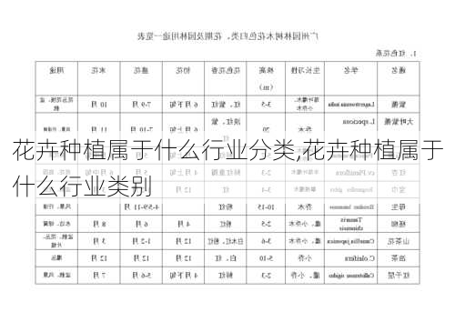 花卉种植属于什么行业分类,花卉种植属于什么行业类别