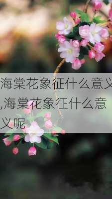 海棠花象征什么意义,海棠花象征什么意义呢