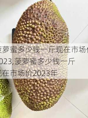 菠萝蜜多少钱一斤现在市场价2023,菠萝蜜多少钱一斤现在市场价2023年