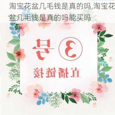 淘宝花盆几毛钱是真的吗,淘宝花盆几毛钱是真的吗能买吗