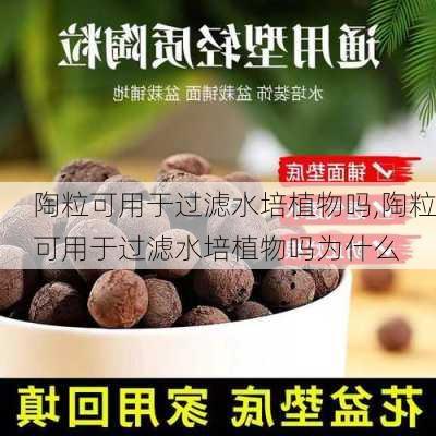 陶粒可用于过滤水培植物吗,陶粒可用于过滤水培植物吗为什么